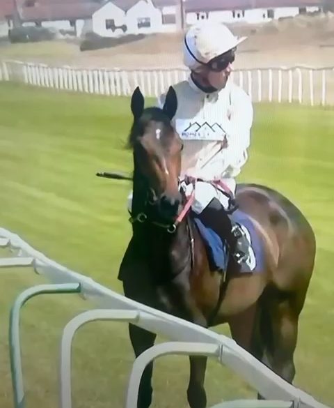 Homes & Floors sponsored runner down at the start at Yarmouth