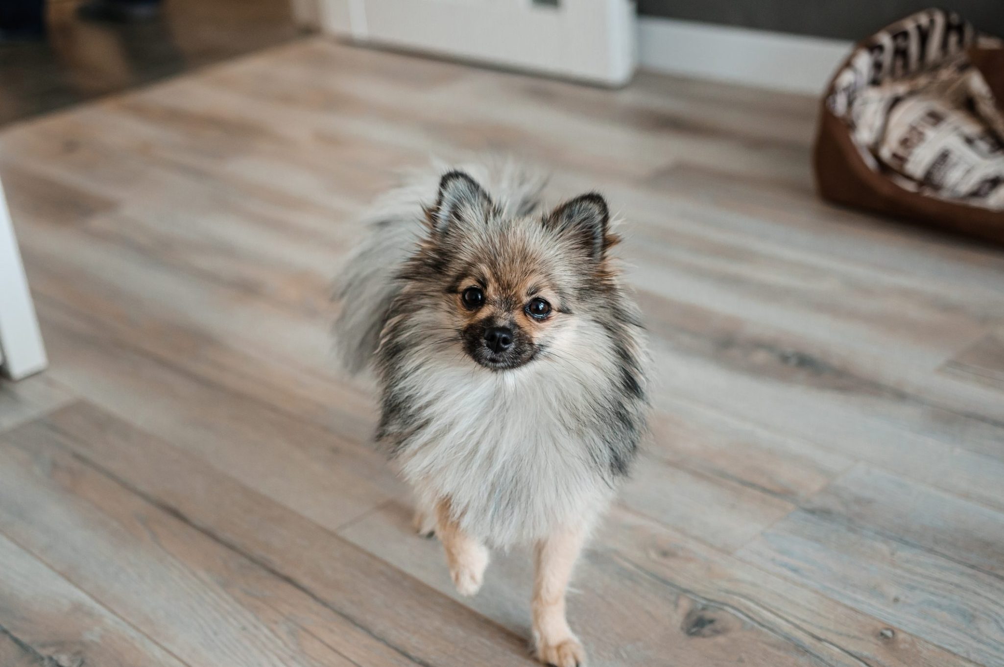 Natural warm flooring tone in an elegant living space
